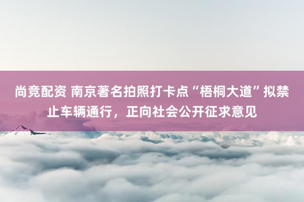 尚竞配资 南京著名拍照打卡点“梧桐大道”拟禁止车辆通行，正向社会公开征求意见