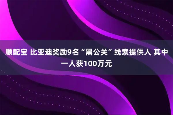 顺配宝 比亚迪奖励9名“黑公关”线索提供人 其中一人获100万元